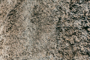 What Are the Common Causes of Carpet Damage?